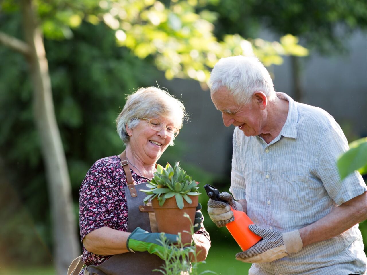 Gemeinsames Gärtnern